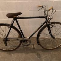 Bicicletta Vintage - Primula