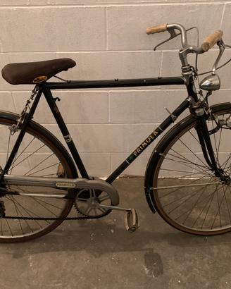 Bicicletta Vintage - Primula