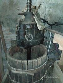 torchio per uva 