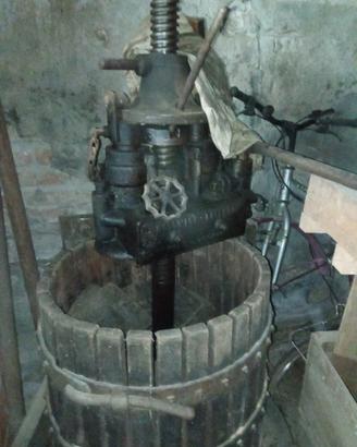 torchio per uva 