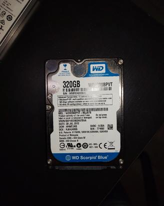 hard disk 2.5 western Digital 320Gb per notebook 