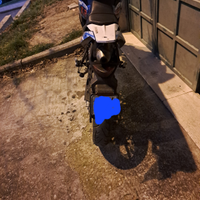 Motard 50