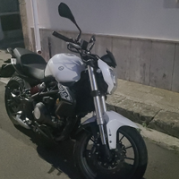 Benelli bn 302