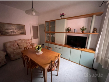 Bilocale arredato a Rivolta D' Adda