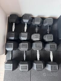 Dumbell pesi crossfit palestra homegym