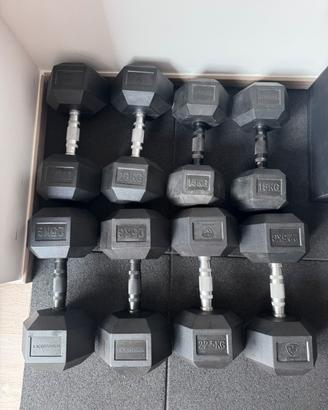 Dumbell pesi crossfit palestra homegym