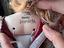 Immagine 3