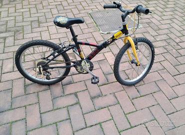 Bicicletta cerchio 20 fino a 10-11 anni