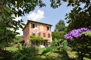 Rif.AS231_1| rustico castelcucco