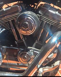 Harley-Davidson 1200 motore e cambio