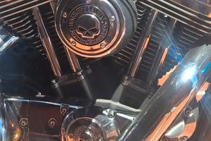 Harley-Davidson 1200 motore e cambio
