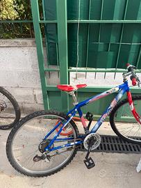 bici bottecchia