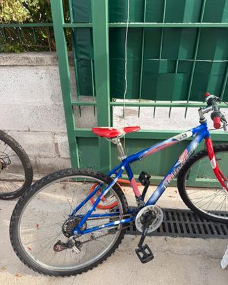 bici bottecchia