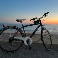 Bici Lombardo Siena 200