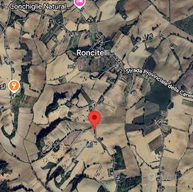 Terreno agricolo a Roncitelli di Senigallia