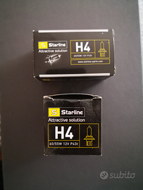 Lampadine H4