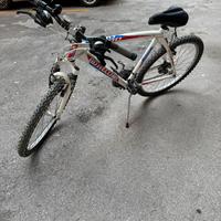 Bici Bottecchia