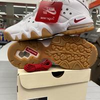 Supreme x SB × Nike Air Max 2 CB