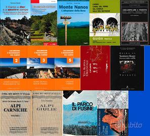 Guide Alpi Giulie e sentieri carsici