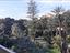 Immagine 16