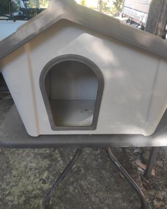 Cuccia per gatti 