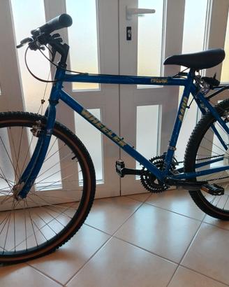 Mountain bike