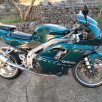 Triumph Daytona 955i 
