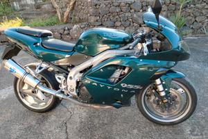Triumph Daytona 955i 
