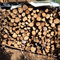 legna cipresso pronto per camino