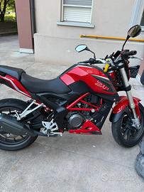 Benelli 251