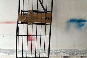 separatore per animali suburu forester