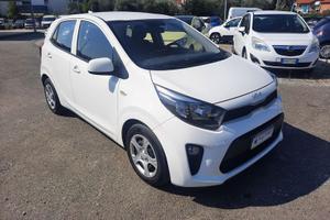Kia Picanto 1.0 12V 5 porte Urban
