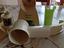 Immagine 2