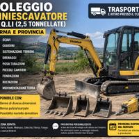 Noleggio miniescavatore 25 q.li Parma