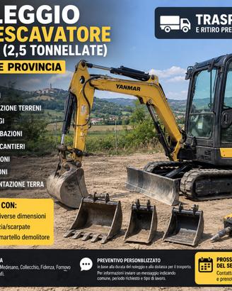 Noleggio miniescavatore 25 q.li Parma