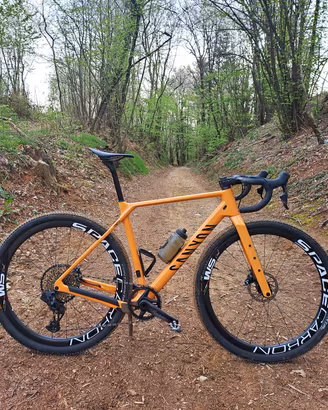 gravel canyon grizl