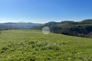 TER. AGRICOLO A MONTEBUONO