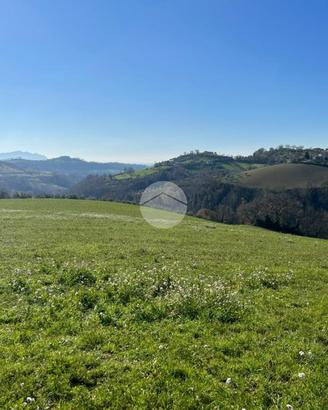 TER. AGRICOLO A MONTEBUONO