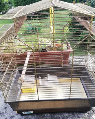 gabbia per uccellini