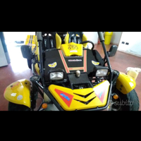 Ricambi buggy thunder 650