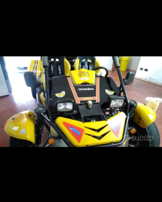 Ricambi buggy thunder 650