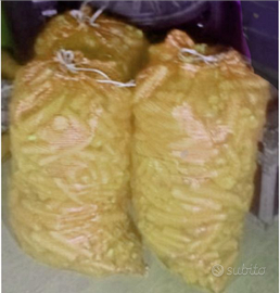 Carote ad uso animale