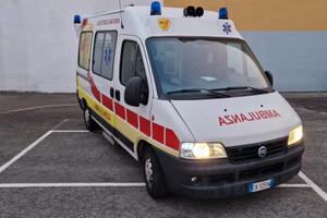 FIAT Altro modello - 2005