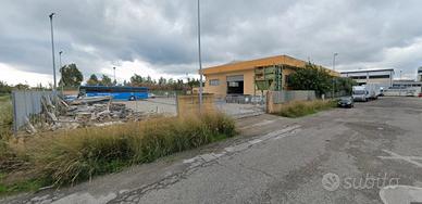 Capannone 868 mq commerciali, Cirò Marina (KR)