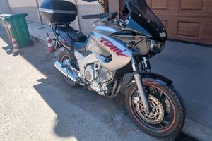 TDM 850