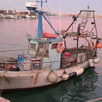 Attrezzature da Pesca da posta e strascico