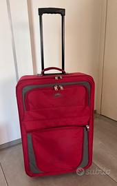 Trolley Ghepard
