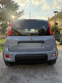 Fiat panda 1.0 benzina
