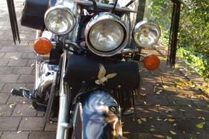 Honda 750 Shadow 2004