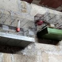 4 gabbie per uccelli